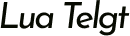 Home button
